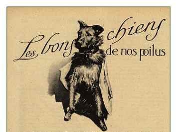 Image h�berg�e par Casimages.com : votre h�bergeur d images simple et gratuit