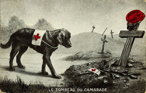 Image h�berg�e par Casimages.com : votre h�bergeur d images simple et gratuit