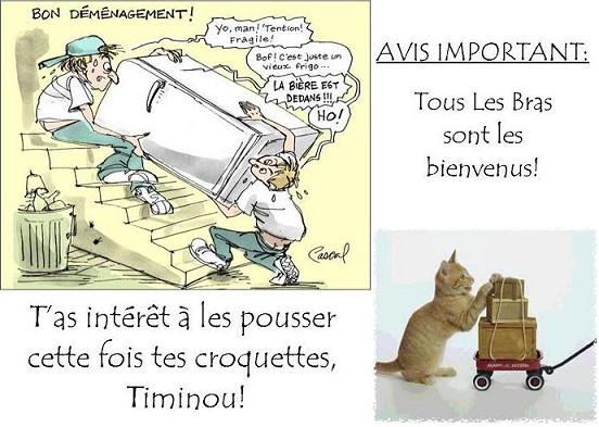 Image h�berg�e par Casimages.com : votre h�bergeur d images simple et gratuit
