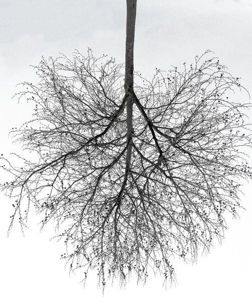 Image hébergée par Casimages.com : votre hébergeur d images simple et gratuit