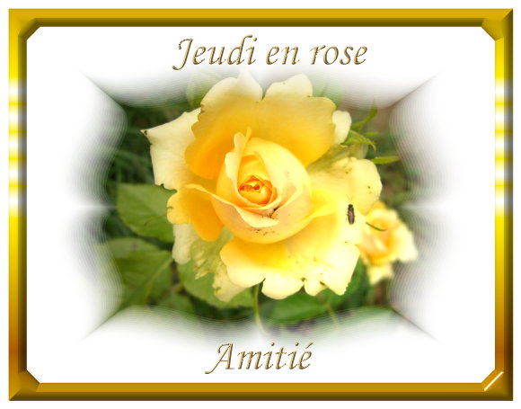 voir l'image en taille réelle