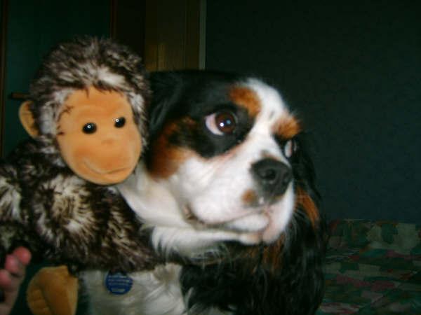 Image h�berg�e par Casimages.com : votre h�bergeur d images simple et gratuit