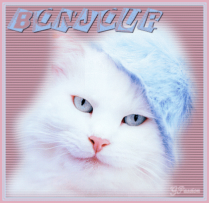 081114094132433782752311.gif