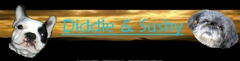 Image h�berg�e par Casimages.com : votre h�bergeur d images simple et gratuit