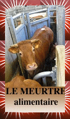 Image h�berg�e par Casimages.com : votre h�bergeur d images simple et gratuit