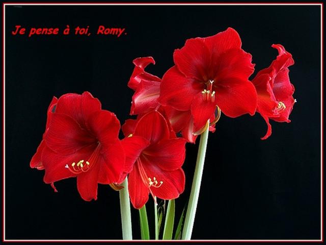Image hébergée par Casimages.com : votre hébergeur d images simple et gratuit