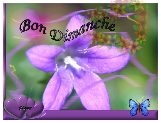 voir l'image en taille réelle
