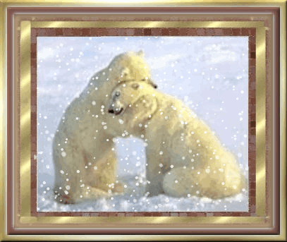 Image hébergée par Casimages.com : votre hébergeur d images simple et gratuit