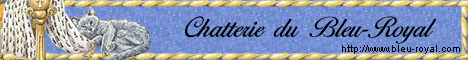 Image h�berg�e par Casimages.com : votre h�bergeur d images simple et gratuit