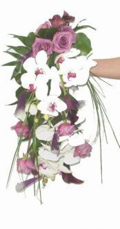 Image h�berg�e par Casimages.com : votre h�bergeur d images simple et gratuit