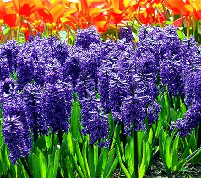 Image hébergée par Casimages.com : votre hébergeur d images simple et gratuit