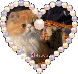 Image hébergée par Casimages.com : votre hébergeur d images simple et gratuit