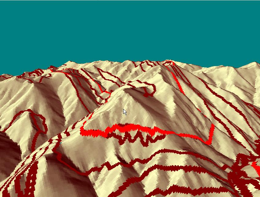081118064003407562771686.jpg