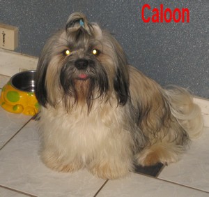 Image h�berg�e par Casimages.com : votre h�bergeur d images simple et gratuit