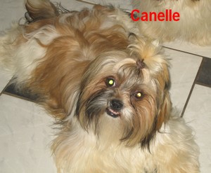 Image h�berg�e par Casimages.com : votre h�bergeur d images simple et gratuit