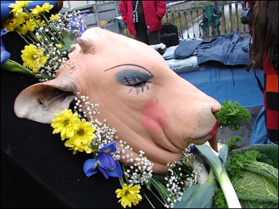 Rambervillers La Foire Aux Tetes De Veau 2007