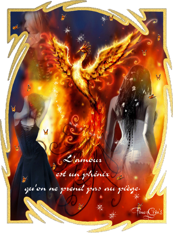 Amour 1