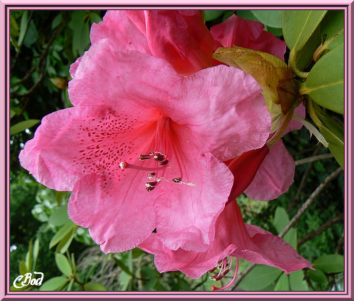 Image h�berg�e par Casimages.com : votre h�bergeur d images simple et gratuit