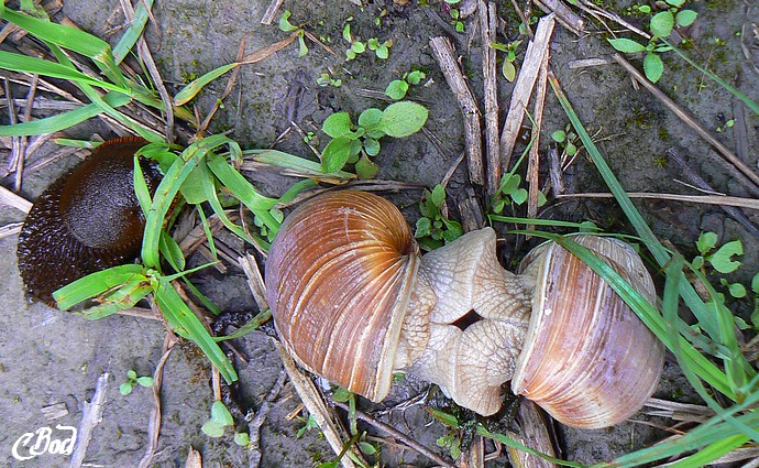 Image hébergée par Casimages.com : votre hébergeur d images simple et gratuit