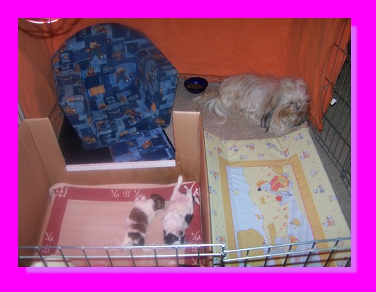 Image h�berg�e par Casimages.com : votre h�bergeur d images simple et gratuit