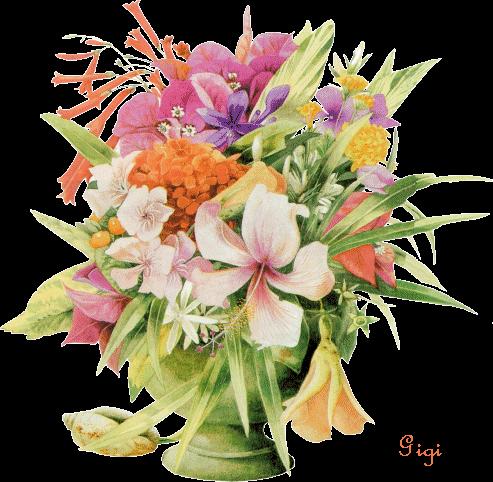 Image hébergée par Casimages.com : votre hébergeur d images simple et gratuit