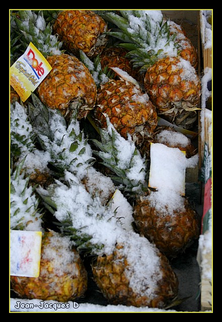 Image hébergée par Casimages.com : votre hébergeur d images simple et gratuit