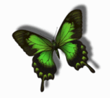 Image hébergée par Casimages.com : votre hébergeur d images simple et gratuit