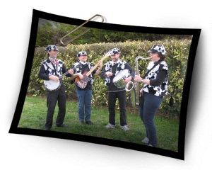 Image hébergée par Casimages.com : votre hébergeur d images simple et gratuit