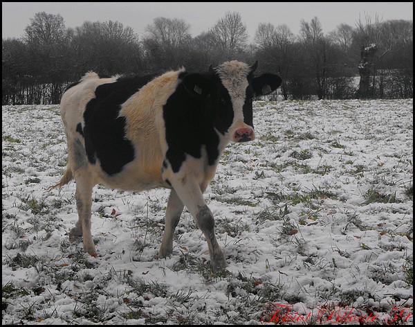 Image hébergée par Casimages.com : votre hébergeur d images simple et gratuit