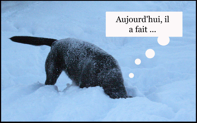 Image h�berg�e par Casimages.com : votre h�bergeur d images simple et gratuit