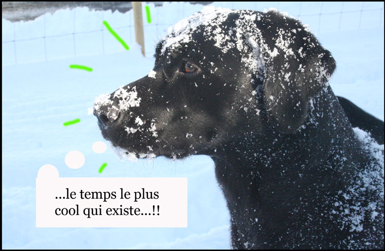 Image h�berg�e par Casimages.com : votre h�bergeur d images simple et gratuit