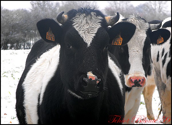 Image hébergée par Casimages.com : votre hébergeur d images simple et gratuit