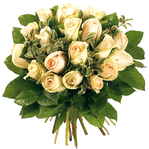 Image h�berg�e par Casimages.com : votre h�bergeur d images simple et gratuit