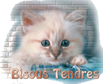 Image hébergée par Casimages.com : votre hébergeur d images simple et gratuit
