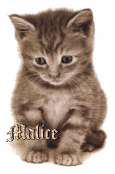 Cliquez pour afficher l'image en taille r�elle