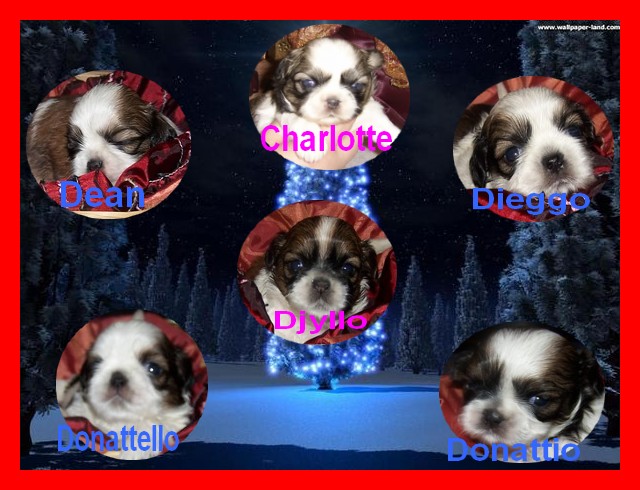 Image h�berg�e par Casimages.com : votre h�bergeur d images simple et gratuit