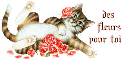 Image hébergée par Casimages.com : votre hébergeur d images simple et gratuit