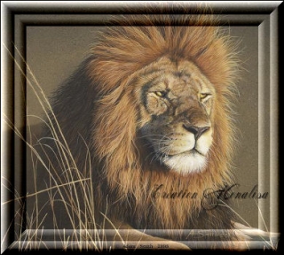 Image hébergée par Casimages.com : votre hébergeur d images simple et gratuit