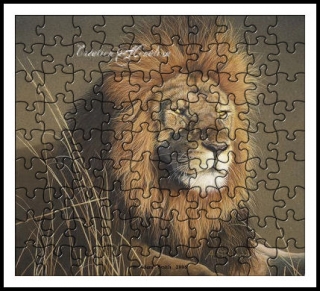 Image hébergée par Casimages.com : votre hébergeur d images simple et gratuit