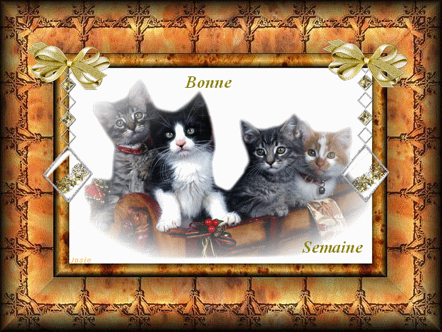 Image hébergée par Casimages.com : votre hébergeur d images simple et gratuit