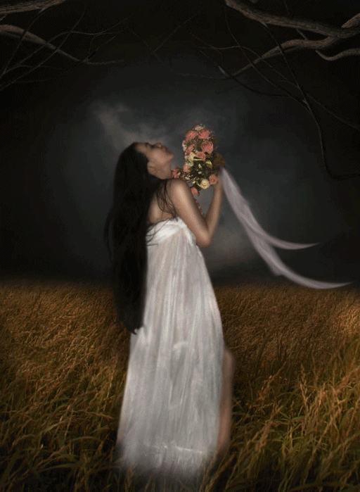 Image hébergée par Casimages.com : votre hébergeur d images simple et gratuit