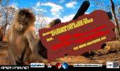 Hebergement gratuit d image et photo