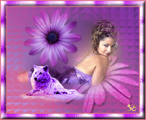 Image h�berg�e par Casimages.com : votre h�bergeur d images simple et gratuit