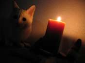 Hebergement gratuit d image et photo