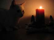 Hebergement gratuit d image et photo