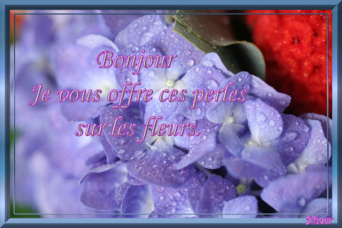 voir l'image en taille réelle