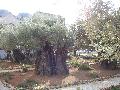 mini_081206045516407562841540.jpg