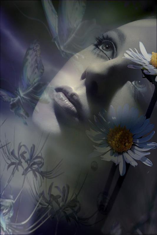 Image hébergée par Casimages.com : votre hébergeur d images simple et gratuit