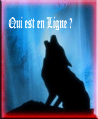 Qui est en ligne ?