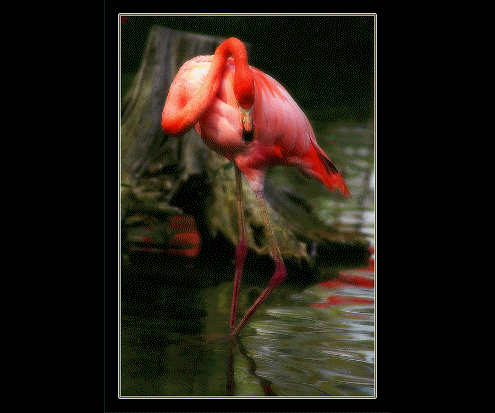 Image hébergée par Casimages.com : votre hébergeur d images simple
et gratuit